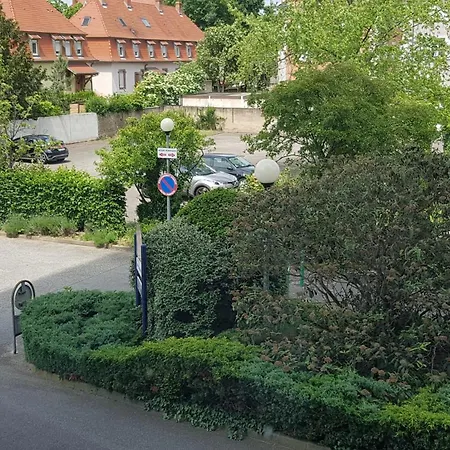 Colmar Top * קולמר